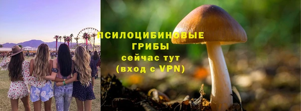 дурь Абинск