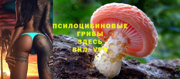 прущая мука Абаза