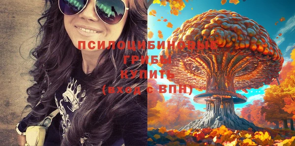 a pvp Дмитриев