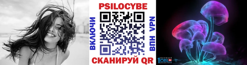 мориарти Telegram  Кочубеевское  Галлюциногенные грибы GOLDEN TEACHER  где купить  