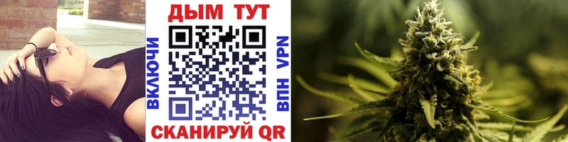 Конопля OG Kush  Кочубеевское 